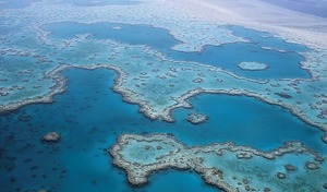 Sprachreisen Cairns_Great Barrier Reef