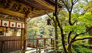 Sprachreisen Japan_Tempel