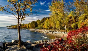 Sprachreisen Toronto_Lake Ontario